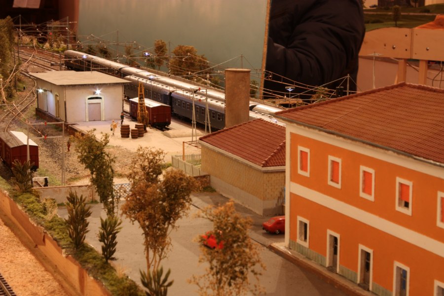 foto successiva