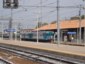 4) Fotografia: Alessandria (Circolare: 10-2010)
