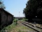24) Fotografia: Livorno (Circolare: 03-2012)