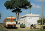 3) Fotografia: Matino