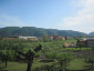 52) Fotografia: Sarzana (Circolare: 05-2013)
