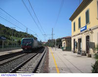 53) Fotografia: Antignano