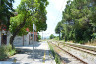 11) Fotografia: Roccaravindola