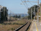 296) Fotografia: Capalbio