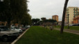 18) Fotografia: Ladispoli (Circolare: 07-2015)