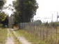 14) Fotografia: Carano (prima) (Circolare: 10-2015)