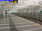 15) Fotografia: Reggio Emilia Alta Velocit Mediopadana