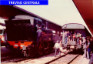 8) Fotografia: Treviso Centrale