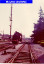 6) Fotografia: Treviso Centrale - File aggiornato da una circolare successiva