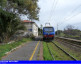 695) Fotografia: Cervo+San Bartolomeo (Circolare: 05-2016)