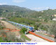 91) Fotografia: Serravalle Ponente