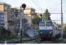 210) Fotografia: Cefal