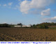 14) Fotografia: Borgo San Lorenzo Rimorelli