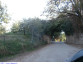 37) Fotografia: Cori