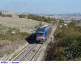 65) Fotografia: Arbia