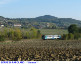 69) Fotografia: Serre di Rapolano