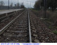 43) Fotografia: Levata di Curtatone