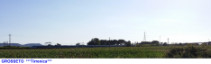 1238) Fotografia: Grosseto