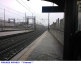 65) Fotografia: Firenze Rifredi