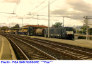 93) Fotografia: Pisa San Rossore