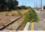 33) Fotografia: Sparanise