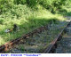 91) Fotografia: Piteccio