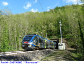 94) Fotografia: Castagno