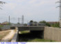80) Fotografia: Firenze Cascine