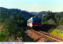 53) Fotografia: Chirialza