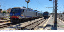 75) Fotografia: Civitavecchia (Circolare: 08-2020)