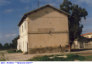 3) Fotografia: Siliqua (Circolare: 08-2020)