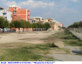 8) Fotografia: Margherita di Savoia (Circolare: 11-2020)