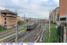 1462) Fotografia: Roma Tuscolana