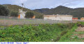 45) Fotografia: Bevano