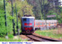 12) Fotografia: Merano+Meran