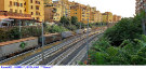 903) Fotografia: Roma Tuscolana
