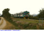 75) Fotografia: Montepescali