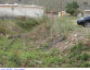 61) Fotografia: Bevano