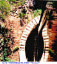16) Fotografia: Poggioreale del Carso