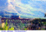 145) Fotografia: Partinico