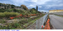 58) Fotografia: Bevano