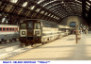 215) Fotografia: Milano Centrale