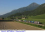 113) Fotografia: Mattarello