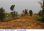 37) Fotografia: Nugola Berte