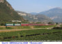 118) Fotografia: Serravalle all'Adige