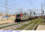 1656) Fotografia: Viareggio