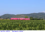 155) Fotografia: Rigoli
