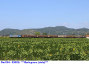 156) Fotografia: Rigoli