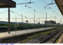 21) Fotografia: Paola (Circolare: 08-2023)