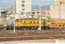333) Fotografia: Palermo Brancaccio